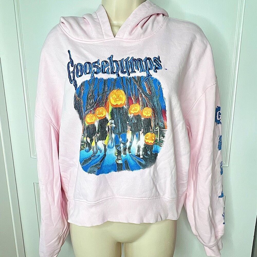 Goosebumps Embroidered Horrorland Cropped Hoodie Pink Medium